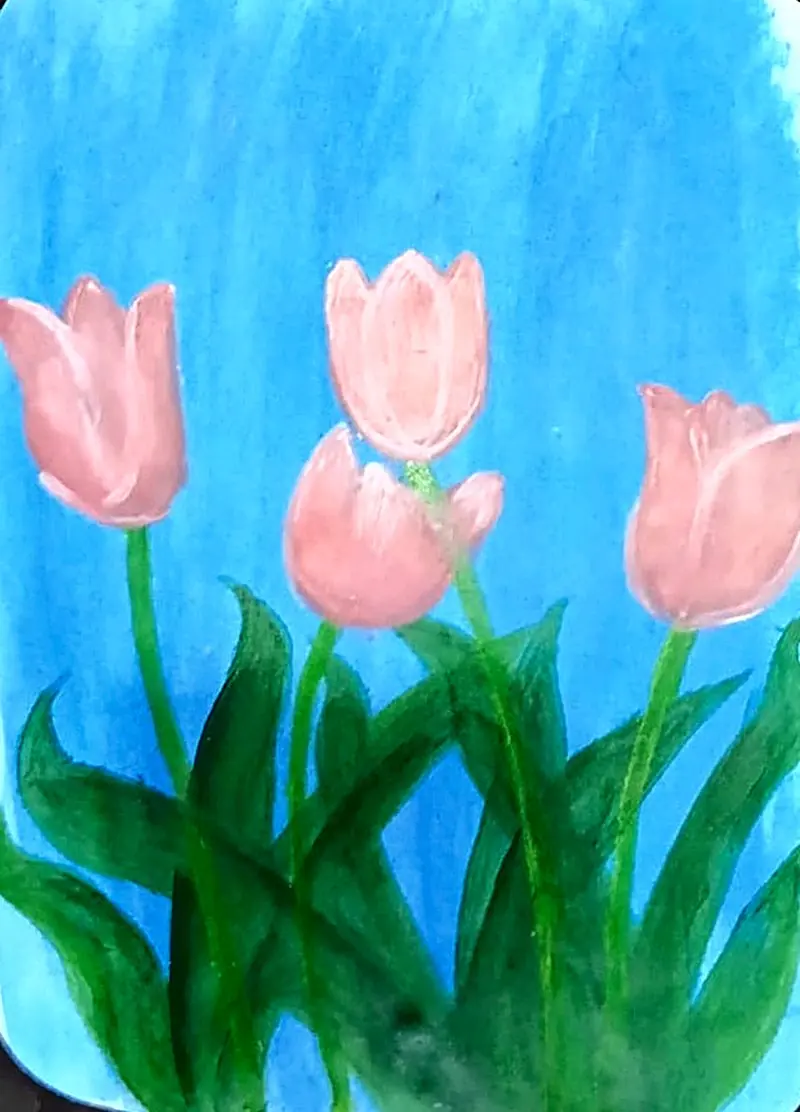 Pink Tulips