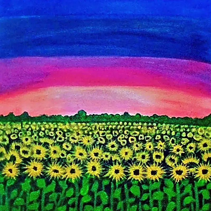 Sunflower Fields